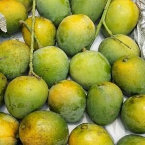 রাজশাহীর আসল হিমসাগর আম (১০ কেজি)